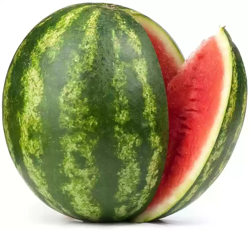 100 best quality juicy hybrid f1 watermelon water melon tarbuj original imagt67bn4dwpun5