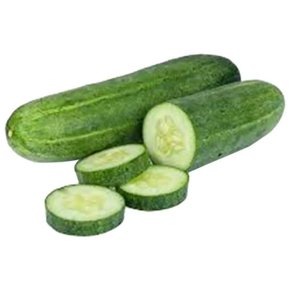 cucumber kheera 1 kg product images o590000259 p590000259 0 202203142031 1