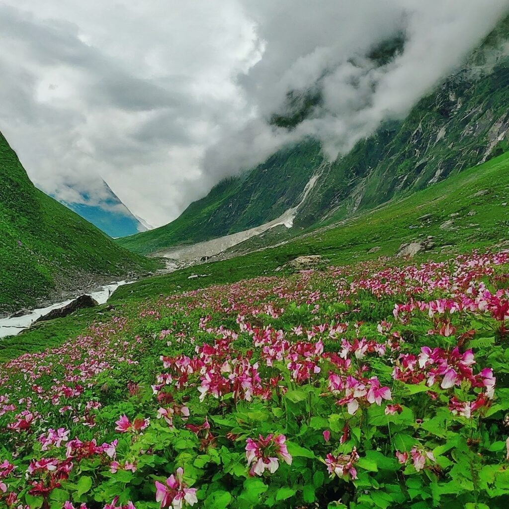 badrinath temple, valley of flowers